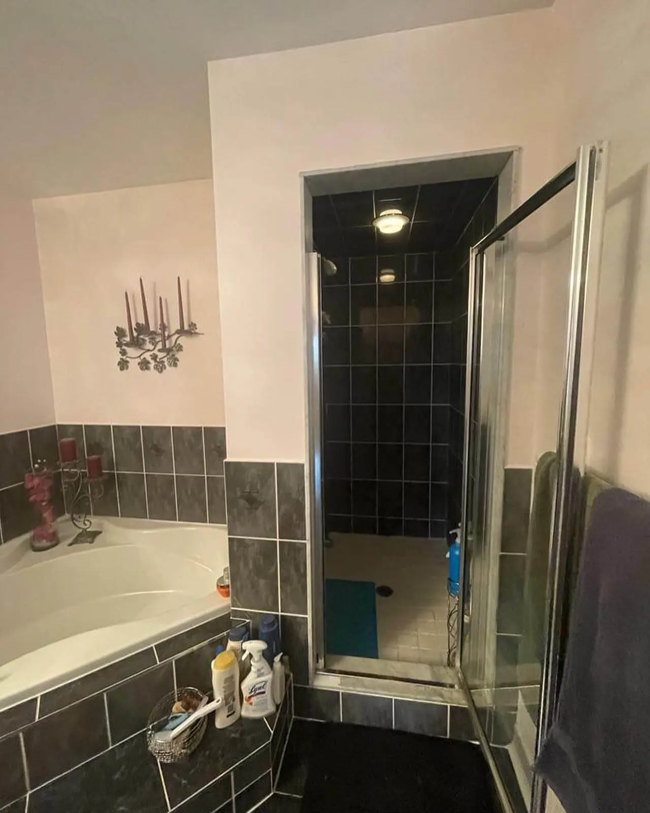 Before photo of Bathroom remodeling in Mississauga, ON